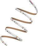 Pasek LED Performance P-1000 43W 965 5m IP00
